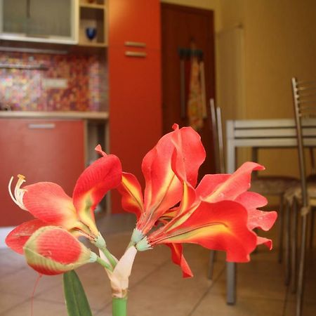 Pisa Town Bed and Breakfast Exteriör bild