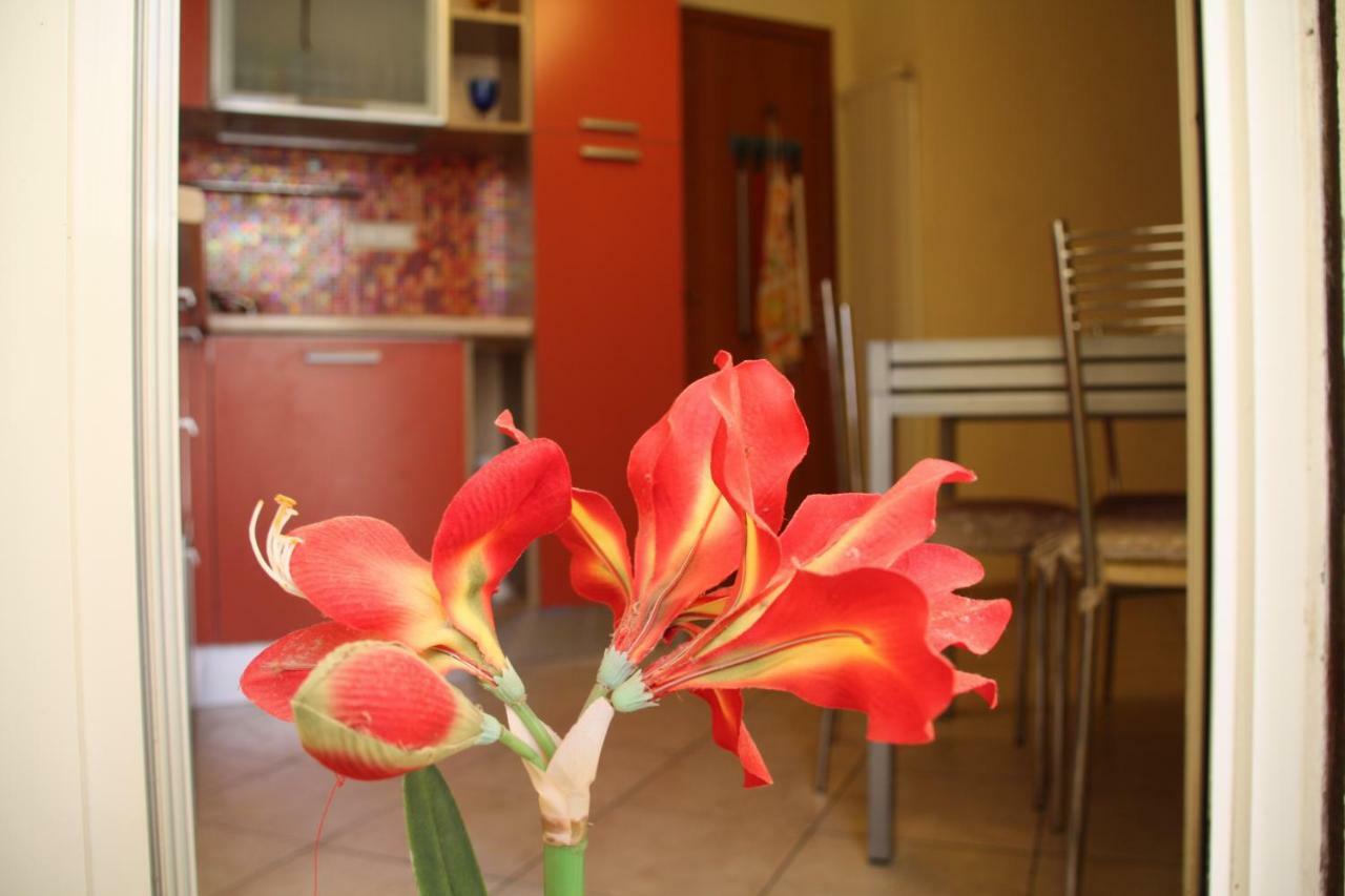 Pisa Town Bed and Breakfast Exteriör bild