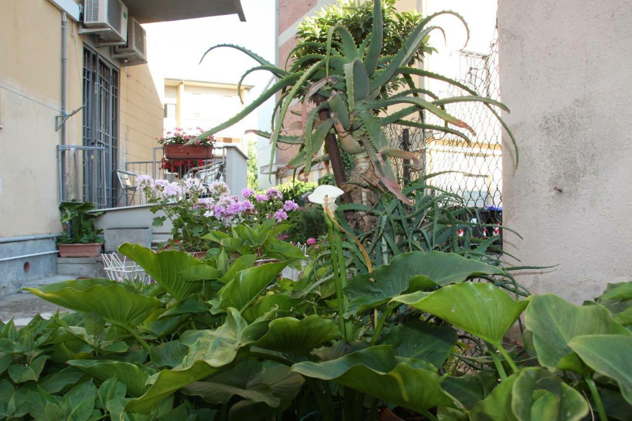 Pisa Town Bed and Breakfast Exteriör bild