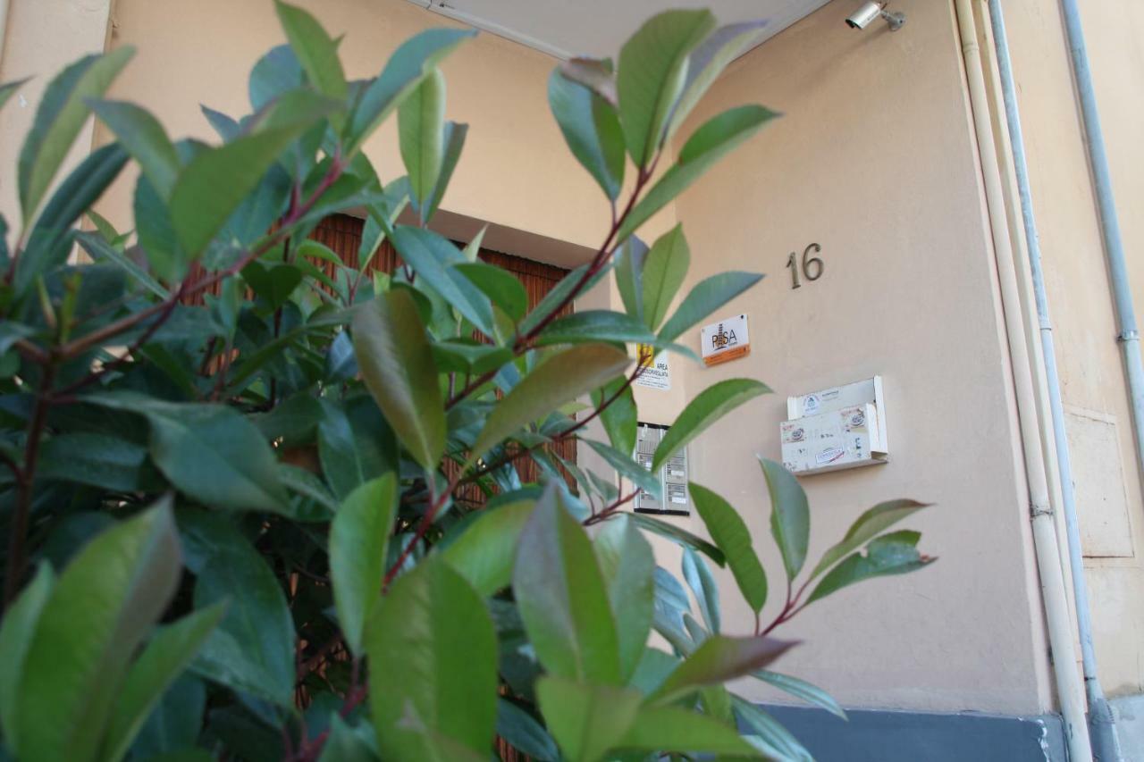 Pisa Town Bed and Breakfast Exteriör bild